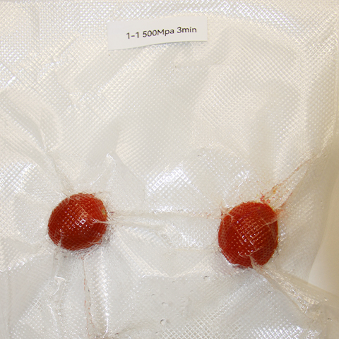 HPP low temperature vacuum packaging frozen fruits and other durian paste food sterilization SFU600-